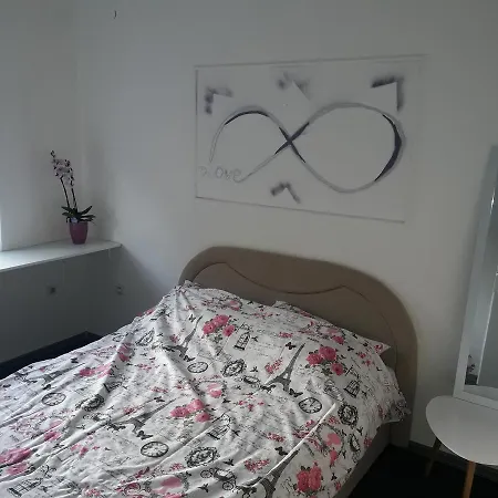 招待所 西斯特姆旅馆 *
